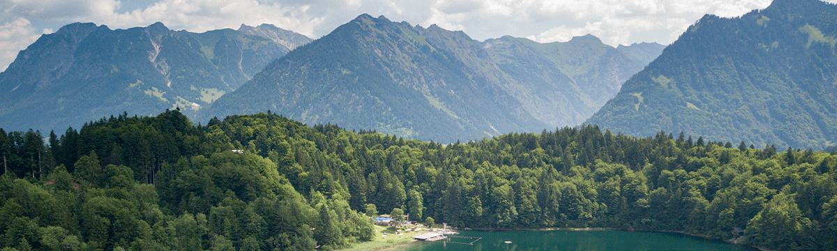 Therapy for Depression