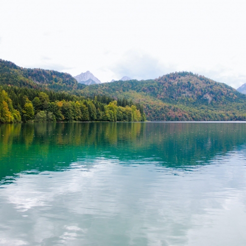 Social Anxiety Disorder Counseling